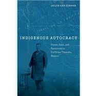 Indigenous Autocracy book cover, ISBN 9781503636279