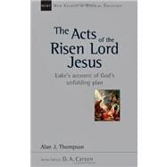 The Acts of the Risen Lord Jesus: Luke's Account of God's Unfolding Plan