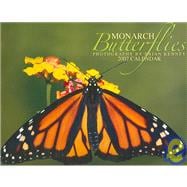 Monarch Butterflies 2007 Calendar