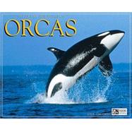 Orcas 2004 Calendar