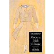 The Cambridge Companion to Modern Irish Culture