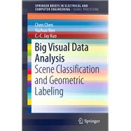 Big Visual Data Analysis