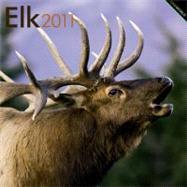 Elk 2011 Calendar