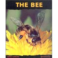 The Bee: Friend of the Flowers