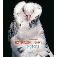 Extraordinary Pigeons