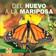 Del Huevo a La Mariposa / from Egg to Butterfly