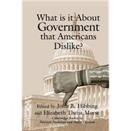 What is it about Government that Americans Dislike?