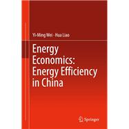 Energy Economics: Energy Efficiency in China