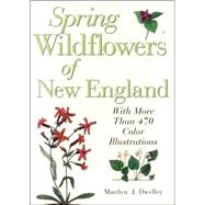 Spring Wildflowers of New England