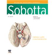 Sobotta. Atlas de anatomía humana. Vol 3