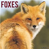 Foxes 2020 Calendar