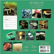 Mushrooms 2002 Calendar