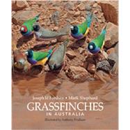Grassfinches in Australia