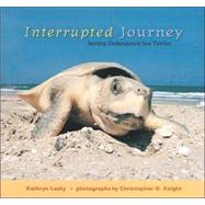 Interrupted Journey : Saving Endangered Sea Turtles