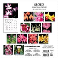 Orchids 2002 Calendar