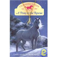 A Pony to the Rescue