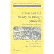 From Gestalt Theory to Image Analysis