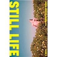 Still Life A Novel