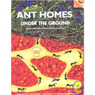 Ant Homes Under the Ground