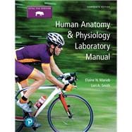 Human Anatomy & Physiology Laboratory Manual, Fetal Pig Version,9780134806365