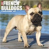 Just French Bulldogs 2020 Calendar