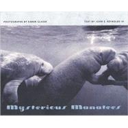 Mysterious Manatees