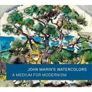 John Marin's Watercolors : A Medium for Modernism