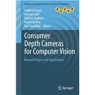 Consumer Depth Cameras for Computer Vision