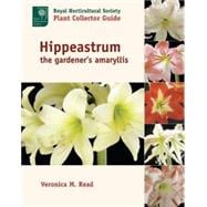 Hippeastrum
