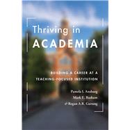 Thriving in Academia Building a Career at a Teaching-Focused Institution