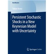 Persistent Stochastic Shocks in a New Keynesian Model with Uncertainty