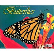 Butterflies 2004 Calendar