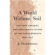A World Without Soil