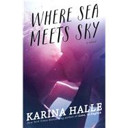 Where Sea Meets Sky A Novel