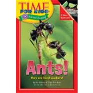 Ants!