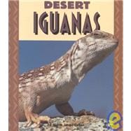 Desert Iguanas