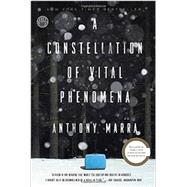 A Constellation of Vital Phenomena A Novel