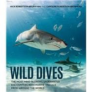 Wild Dives The Most Mind-Blowing Underwater Encounters With Marine Animals From Around the World