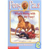 What's Wrong With My Pony?