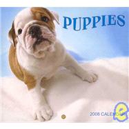 Puppies 2008 Calendar