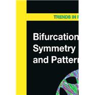 Bifurcation, Symmetry and Patterns