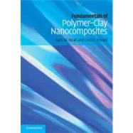 Fundamentals of Polymer-Clay Nanocomposites
