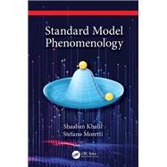 Standard Model Phenomenology