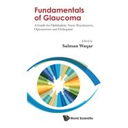 Fundamentals of Glaucoma