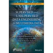 Supervised and Unsupervised Data Engineering for Multimedia Data