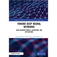Deep Neural Networks