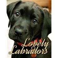 Lovely Labradors