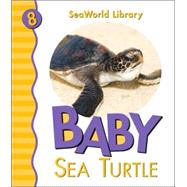 Baby Sea Turtle San Diego Zoo