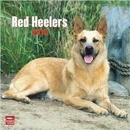 Red Heelers 2010 Calendar