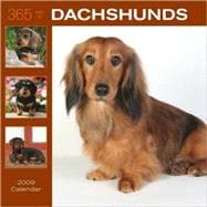 365 Days of Dachshunds 2009 Calendar